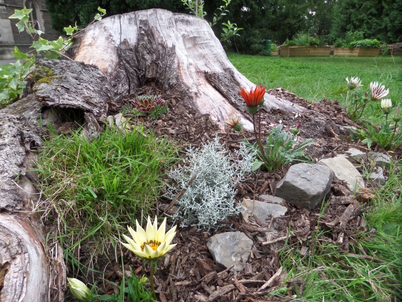 Victoria Square Community Garden